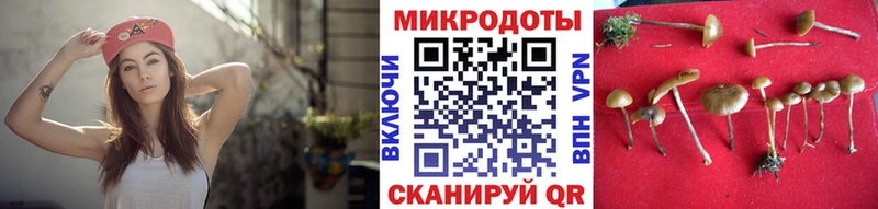 Галлюциногенные грибы GOLDEN TEACHER Бирск