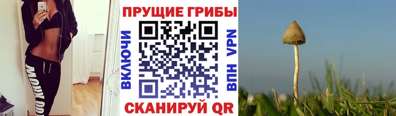 Галлюциногенные грибы MAGIC MUSHROOMS Бирск